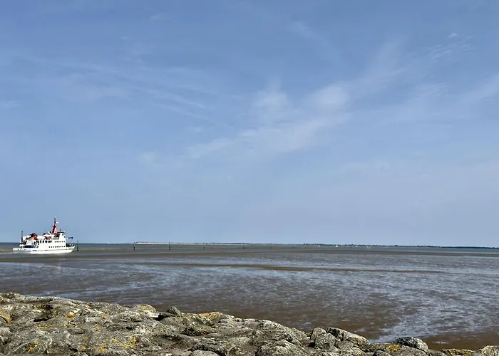 Gulfhof Butendiek - Melkkammer Neuharlingersiel