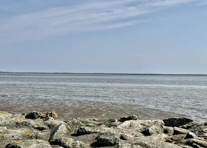 Lejlighed Gulfhof Butendiek - Melkkammer