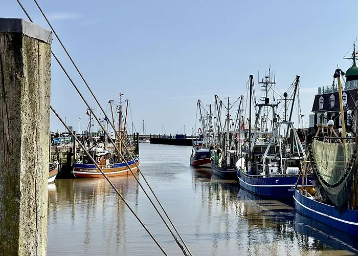 Gulfhof Butendiek - Melkkammer Lejlighed Neuharlingersiel